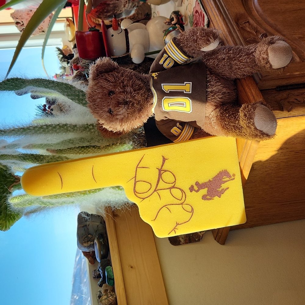 University of Wyoming Foam #1 & #1 Bear 16" EUC